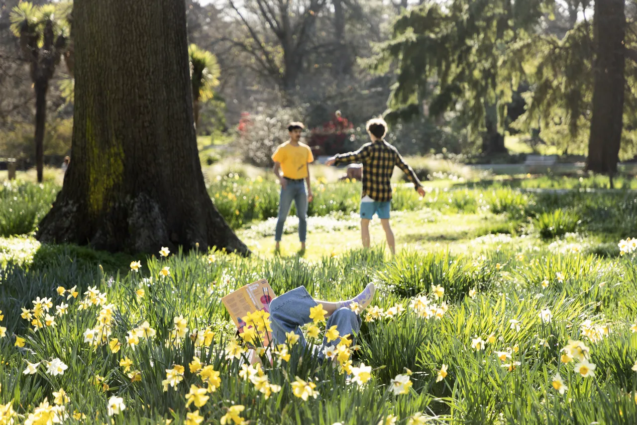 Spring in the city 