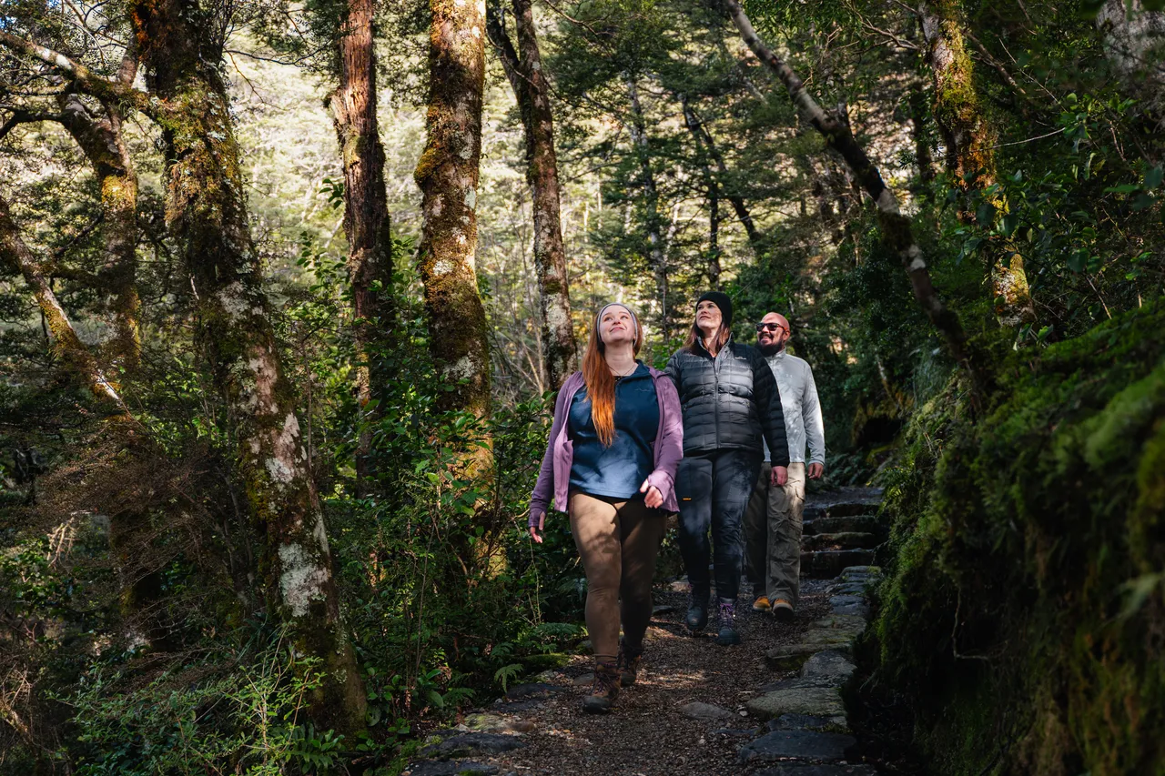 Avalanche Creek Falls Arthurs Pass Selwyn