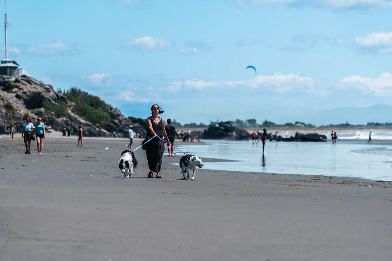 Woman walking dogs in Sumner beach