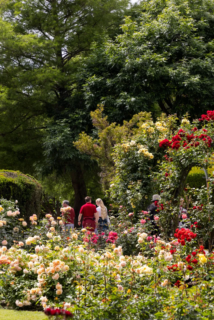 169006-botanic-gardens-8bit