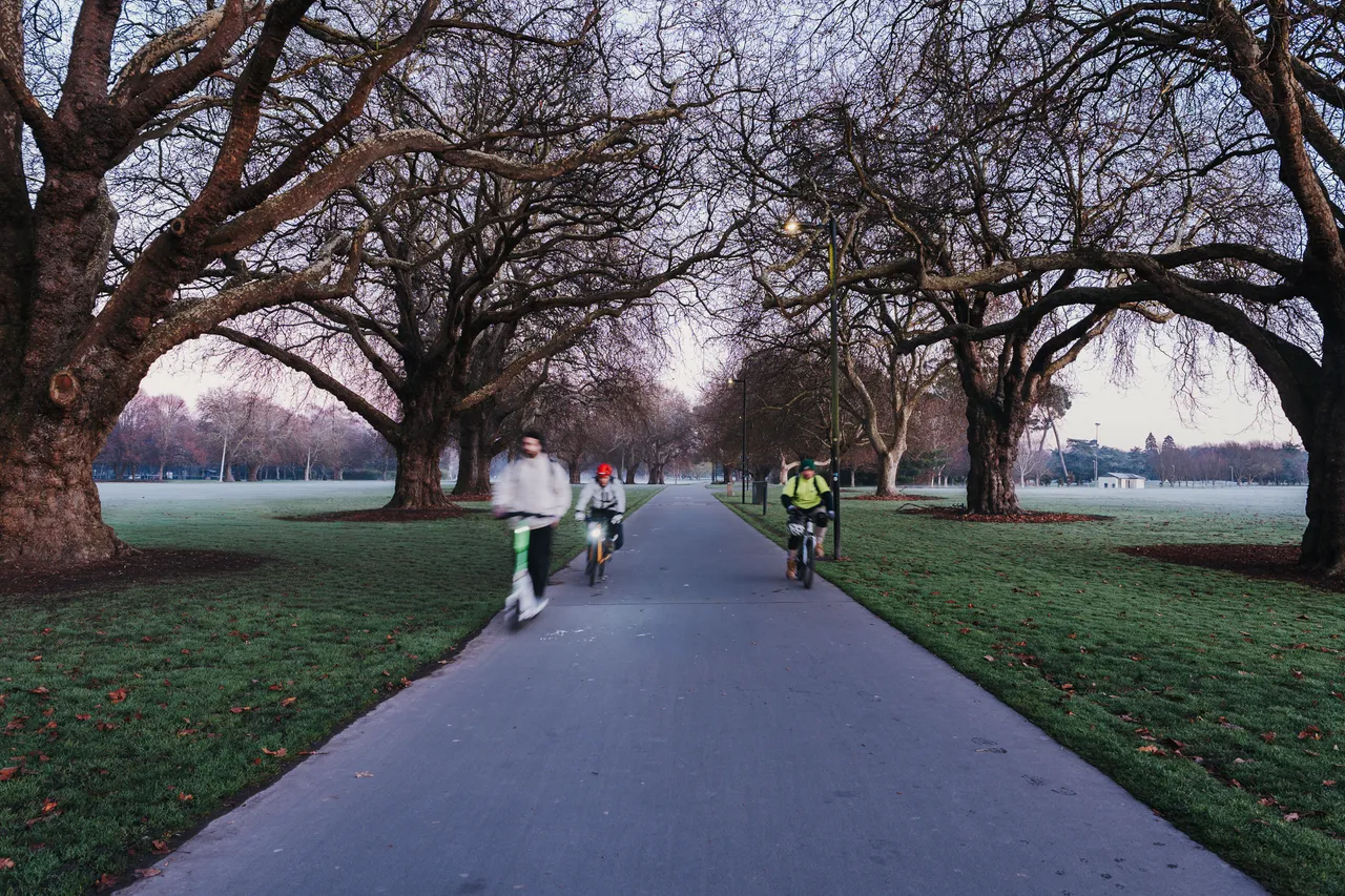 Hagley Park in winter