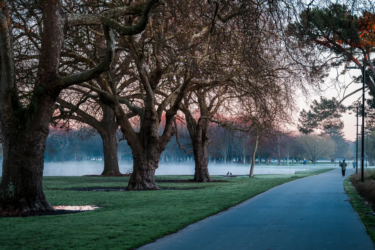 Hagley Park in winter