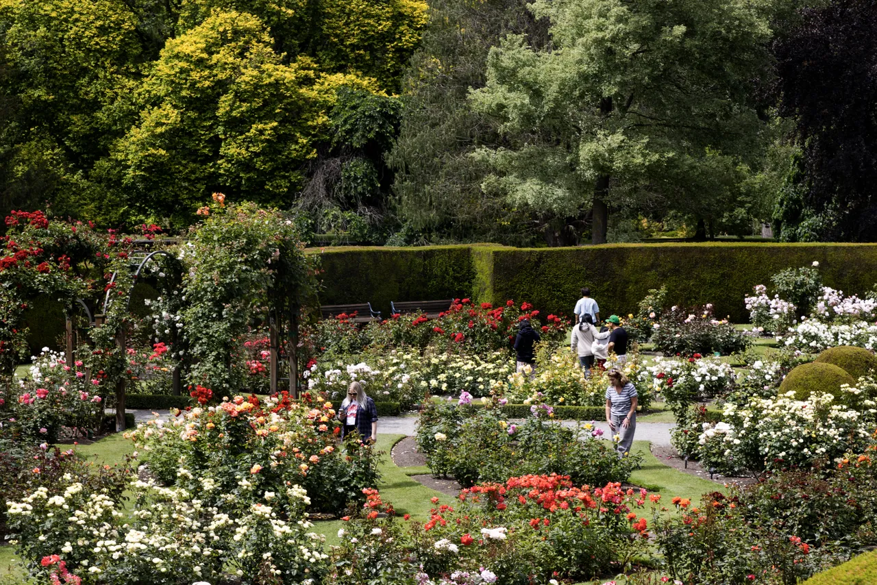 Botanic Gardens 