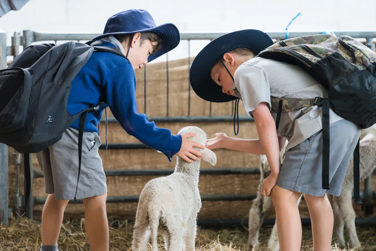 NZ Agricultural Show Kids with lamb