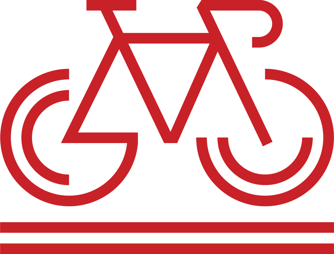 Bike Icon