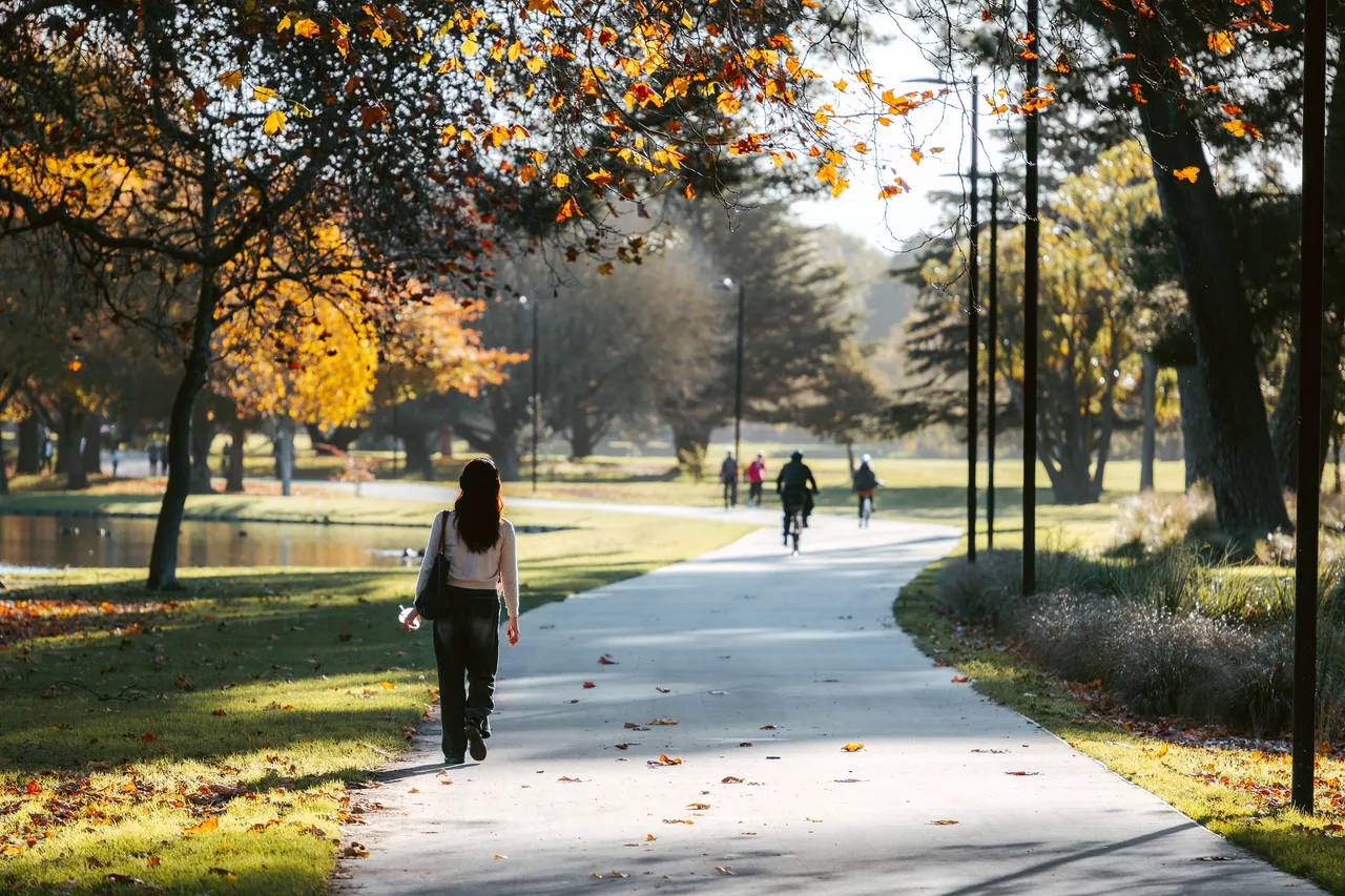 Hagley Park in Autumn