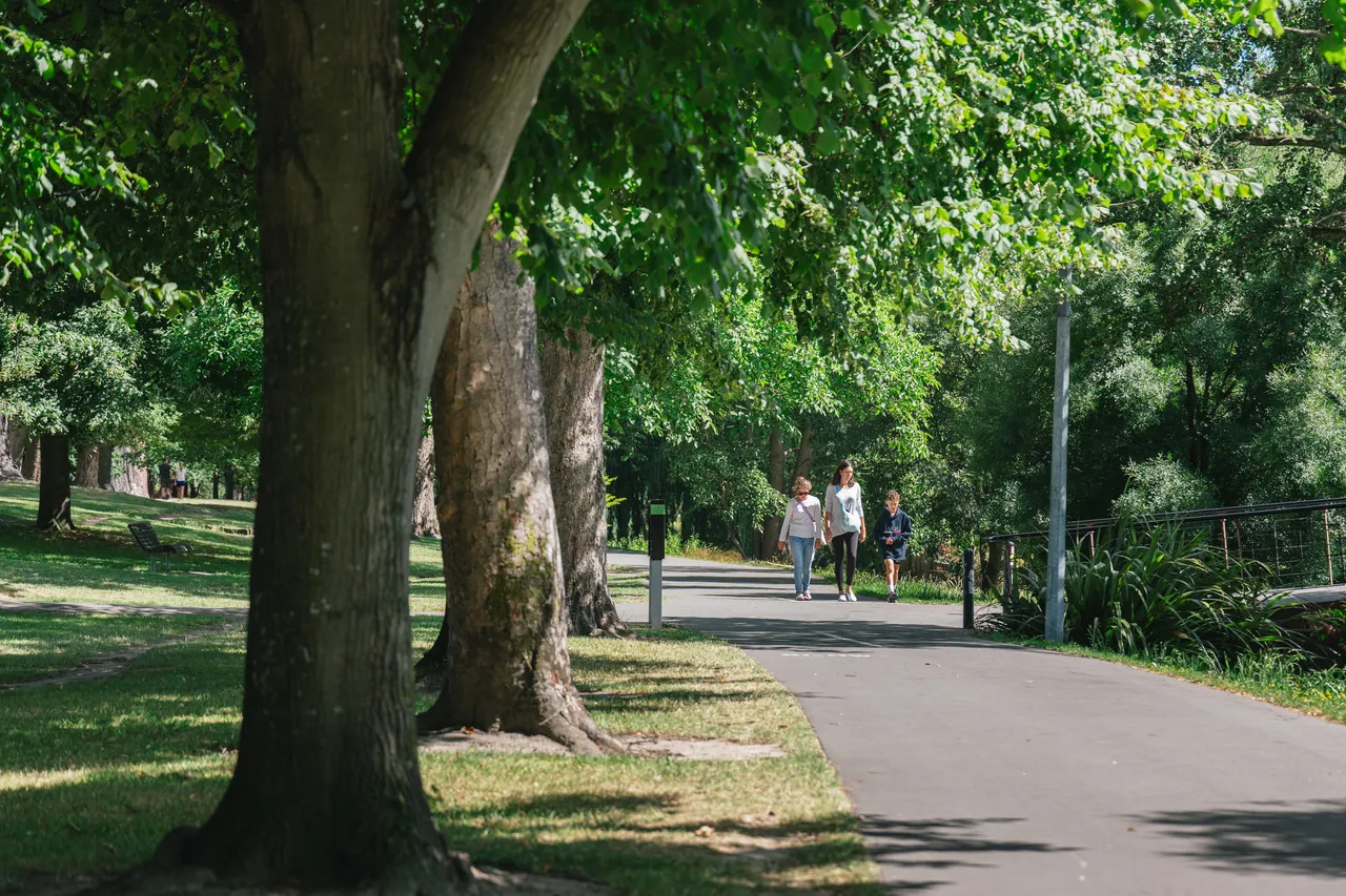 Hagley Park in summer