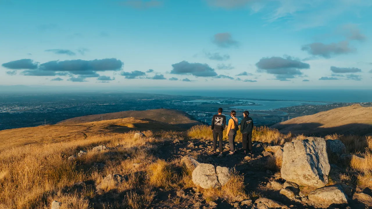 Group viewing vista on Port Hills