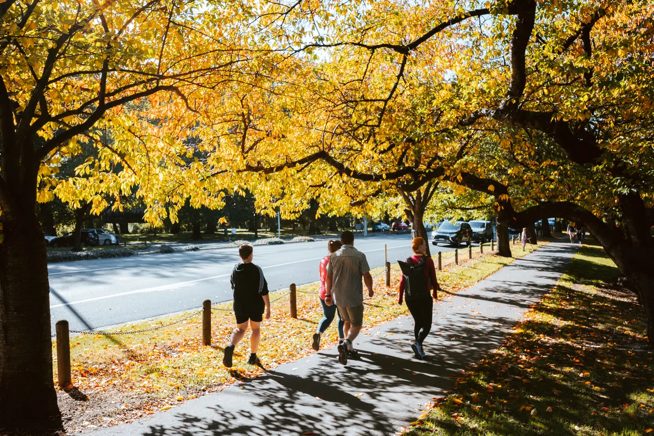 Hagley Park in Autumn