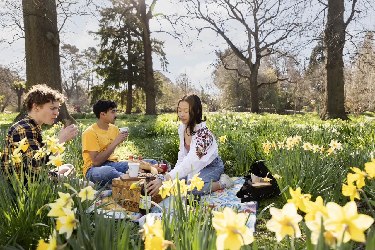 Spring in the city 