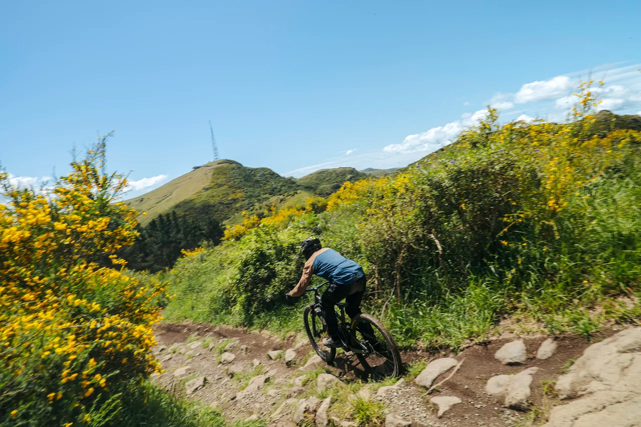 Christchurch Adventure Park Mountainbiking