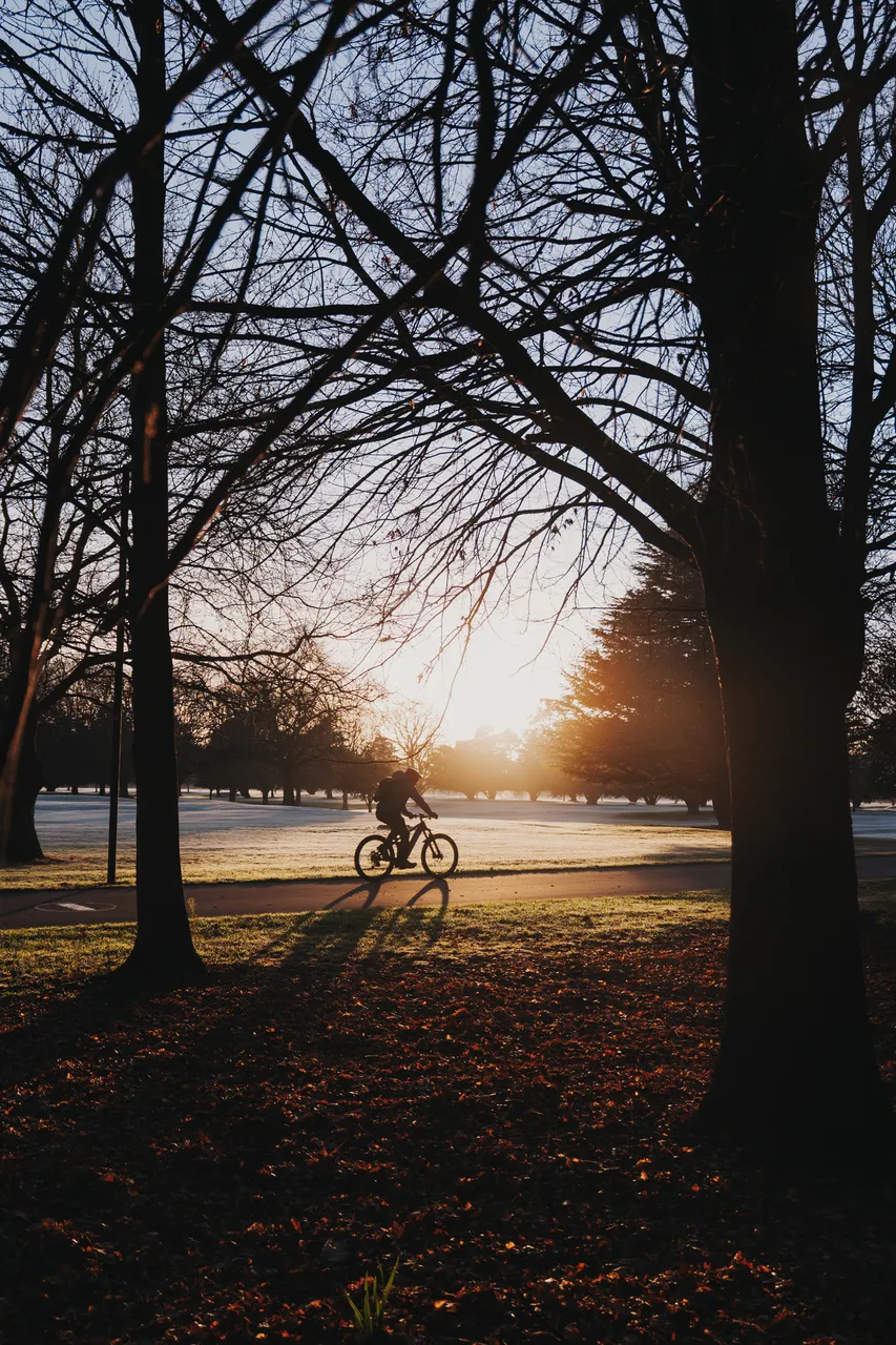 Hagley Park in winter