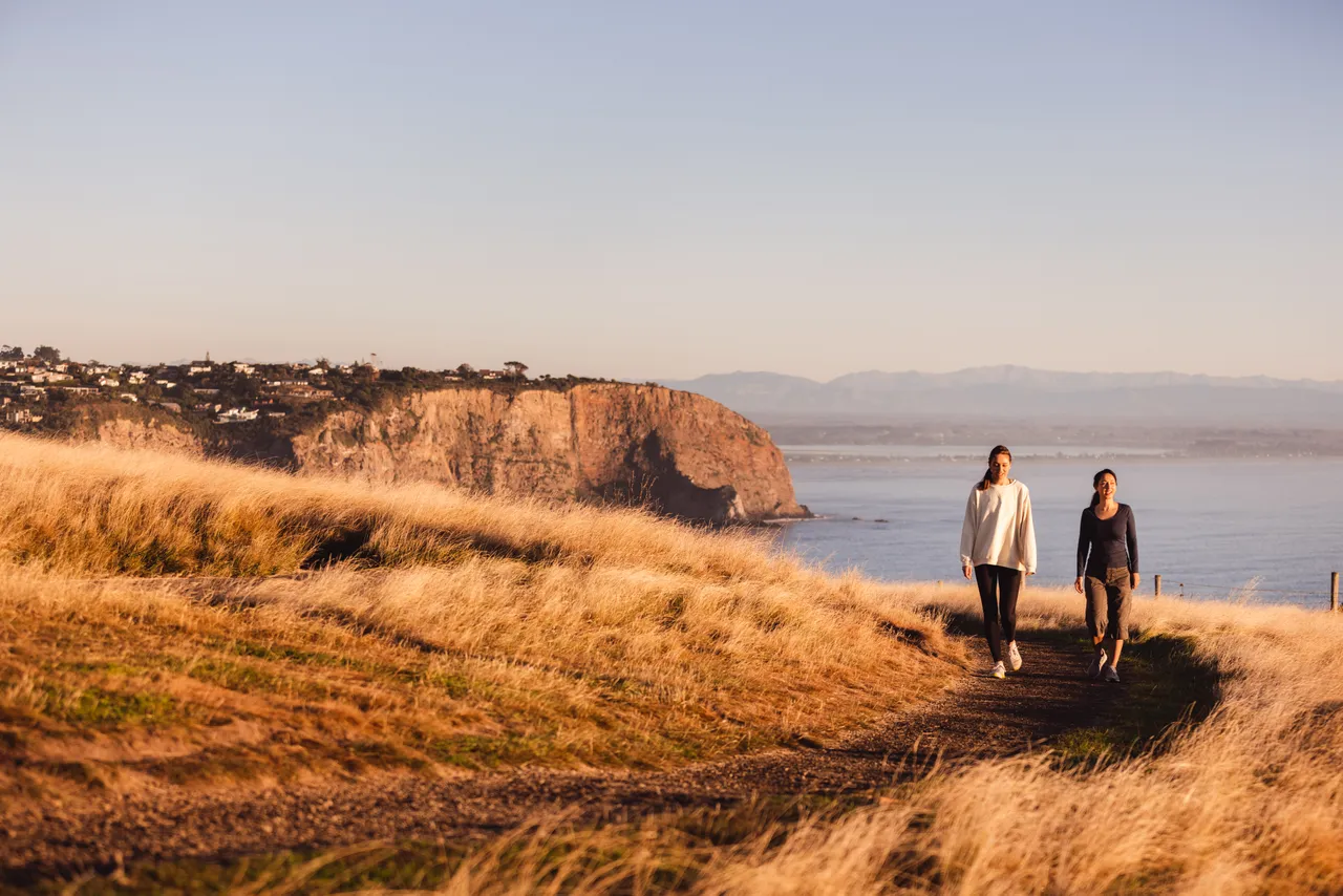  Godley Head Walk