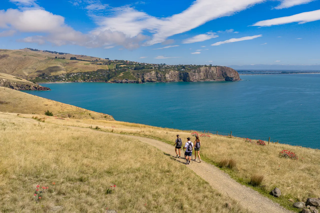 Couple hiking at Godley Head Track aerial