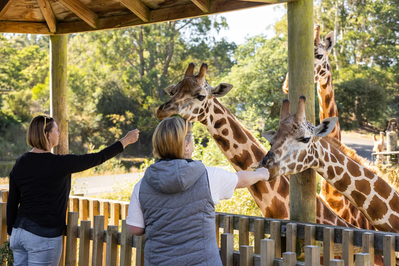 Orana Wildlife Park