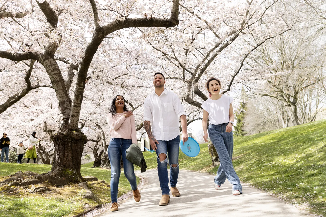 Spring Blossoms in the city