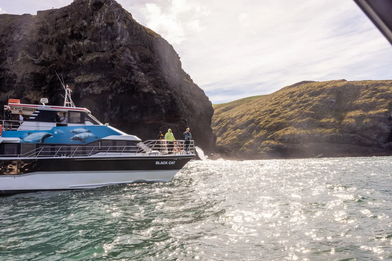 Black Cat Cruises 