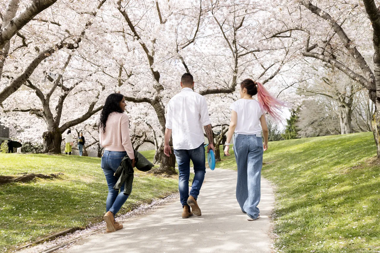 Spring Blossoms in the city