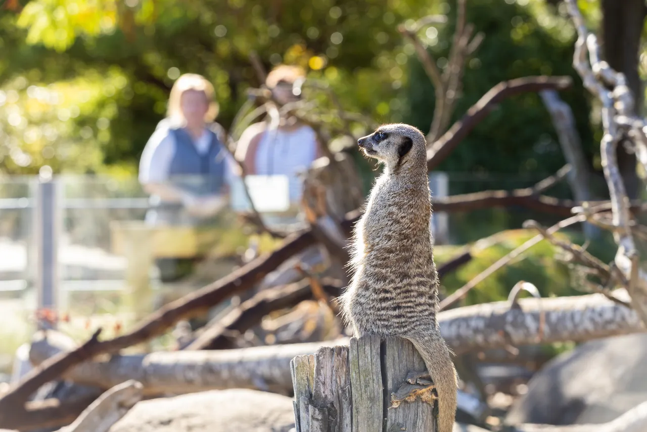 Orana Wildlife Park 