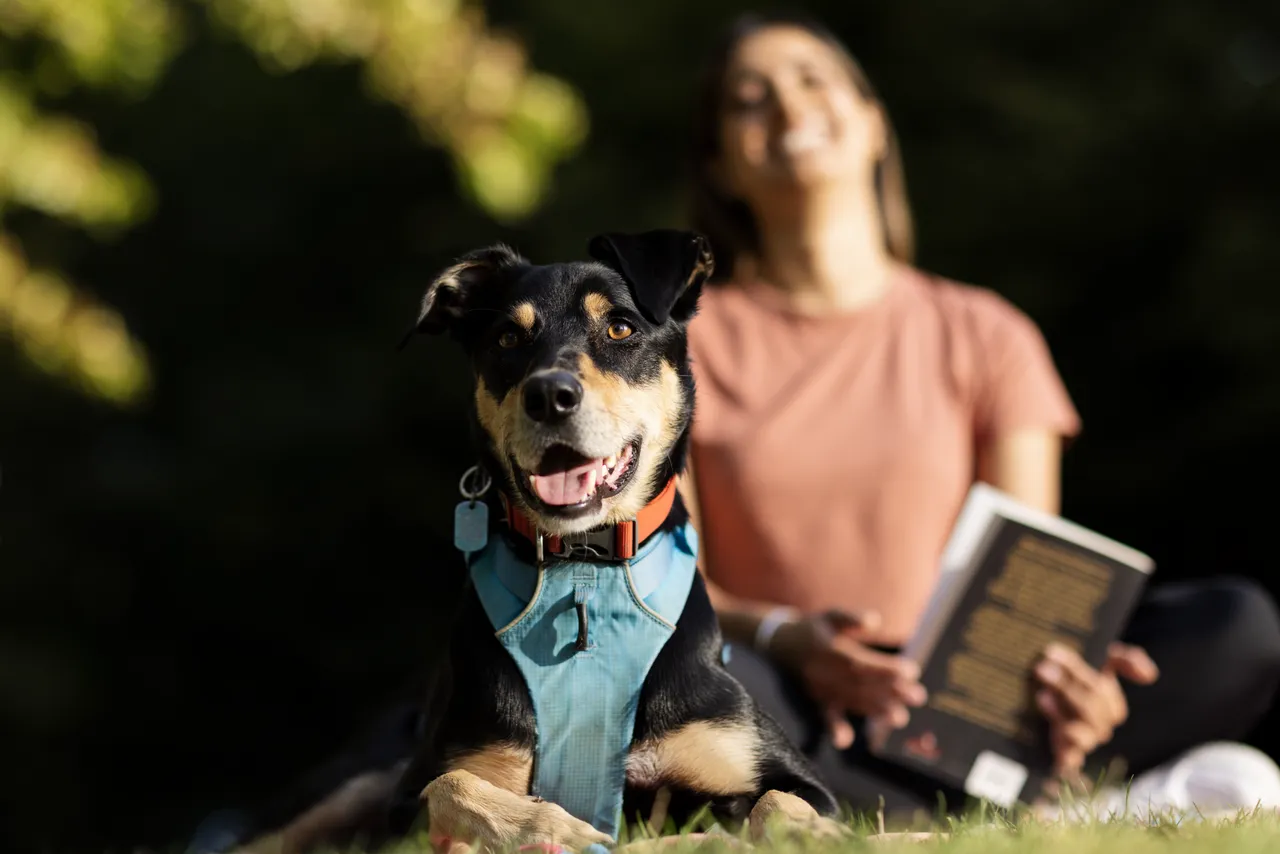 Friends having a quiet time with pet