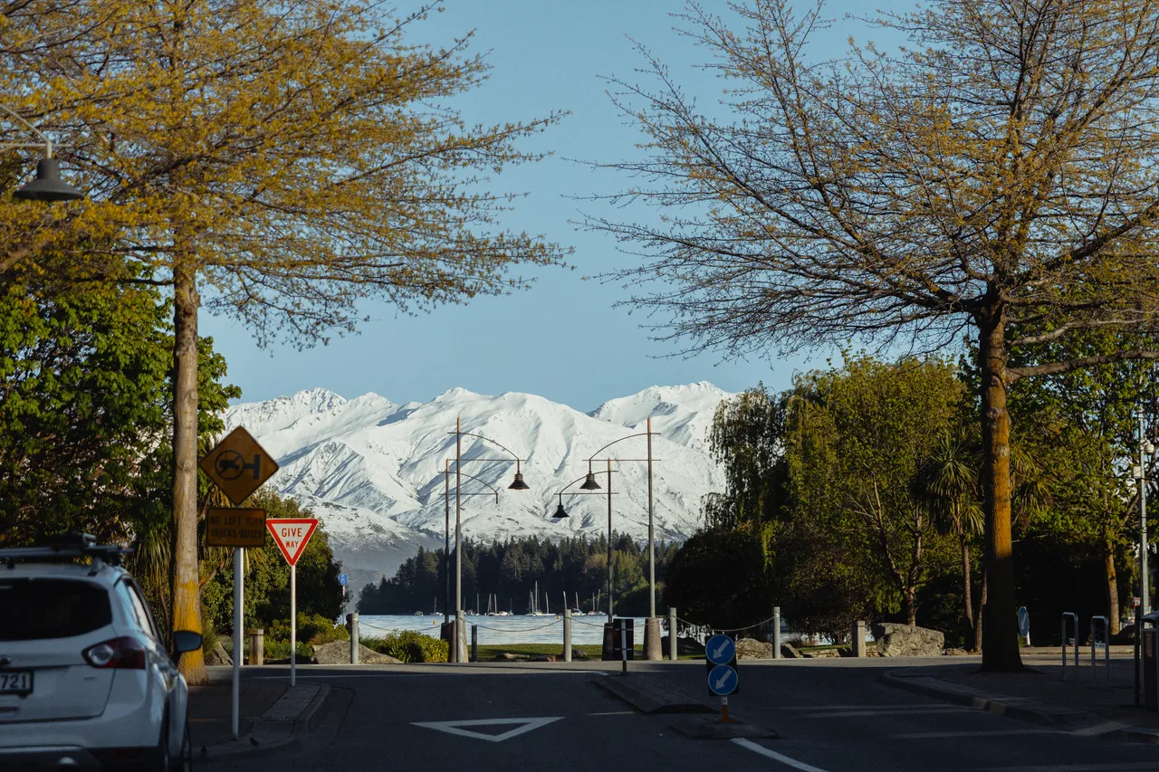 Wānaka Spring Scenic
