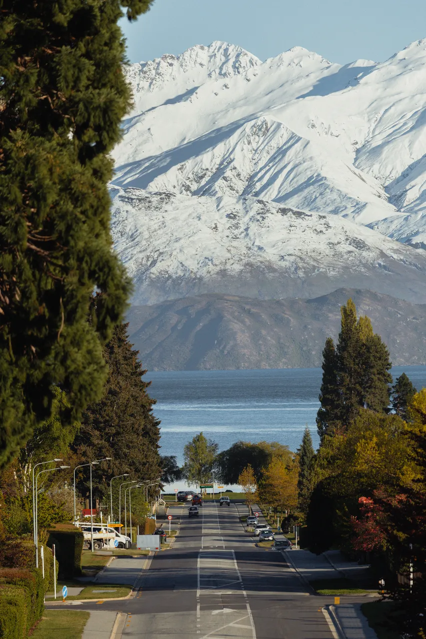 Wānaka Spring Scenic